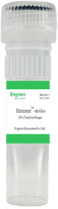 Entranster<sup>TM</sup>-in vivo for DNA