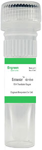 Entranster<sup>TM</sup>-in vivo for RNA